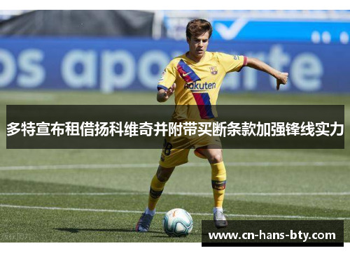 多特宣布租借扬科维奇并附带买断条款加强锋线实力 多特宣布租借扬科维奇并附带买断条款加强锋线实力