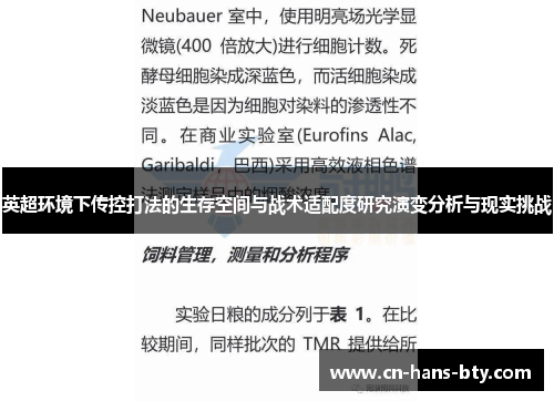 英超环境下传控打法的生存空间与战术适配度研究演变分析与现实挑战 英超环境下传控打法的生存空间与战术适配度研究演变分析与现实挑战